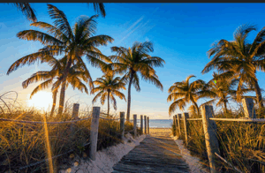 Beautiful on the way to the beach