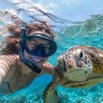Water tour Turtle